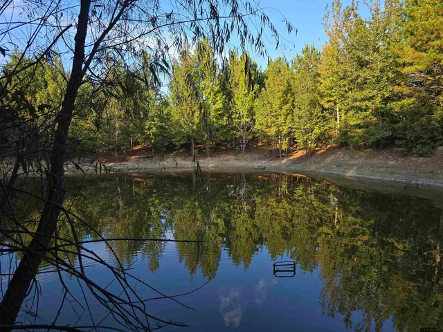 a view of backyard with green space