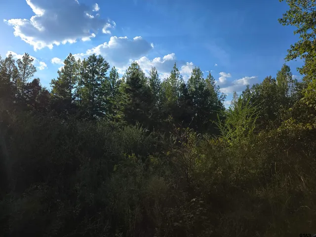 a view of outdoor space with deck and yard
