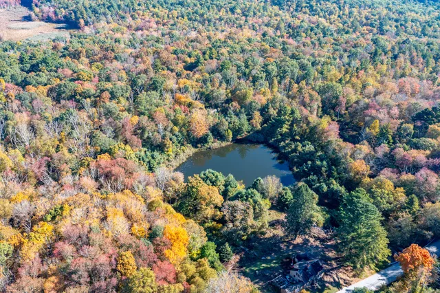 a view of a lake with a tree