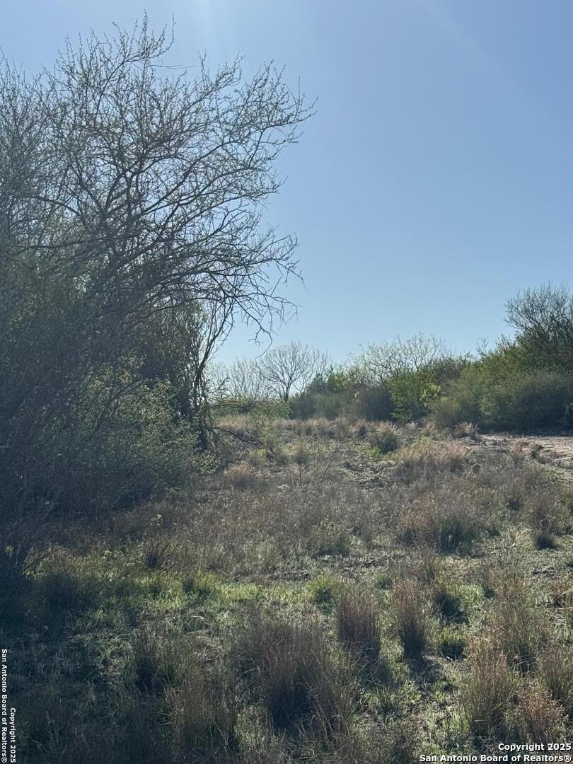 0 Cr 455 George West, TX 78022 - Photo 12 of 13 a view of a dry yard with trees