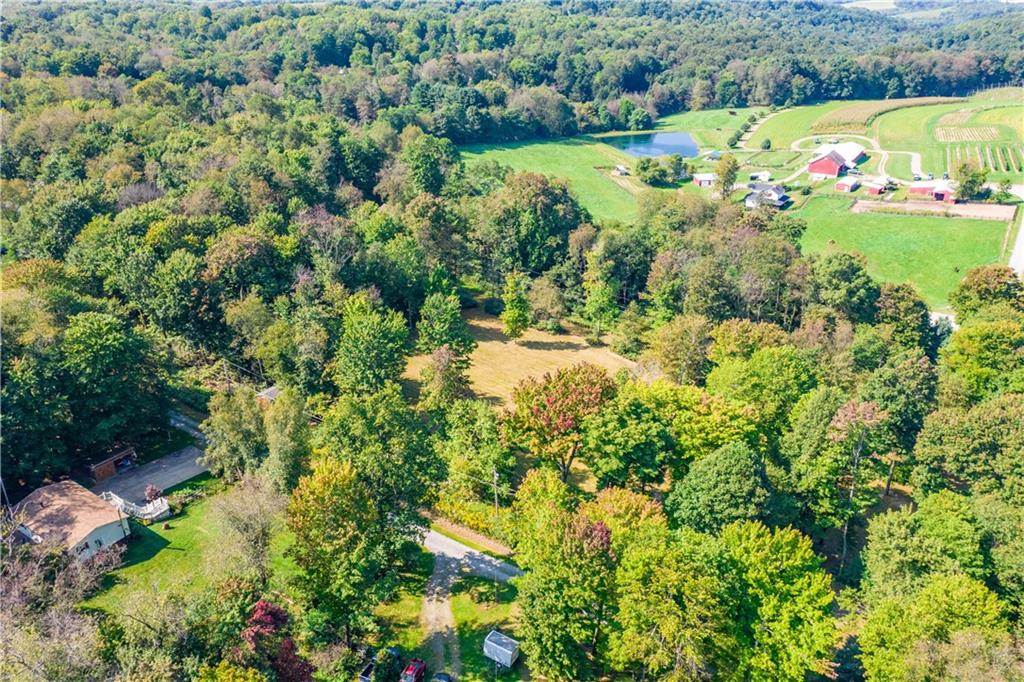 116 Leopard Road Evans City, PA 16033 - Photo 22 of 25