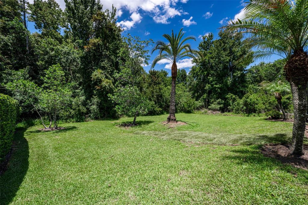 16207 Rambling Road Odessa, FL 33556 - Photo 50 of 76