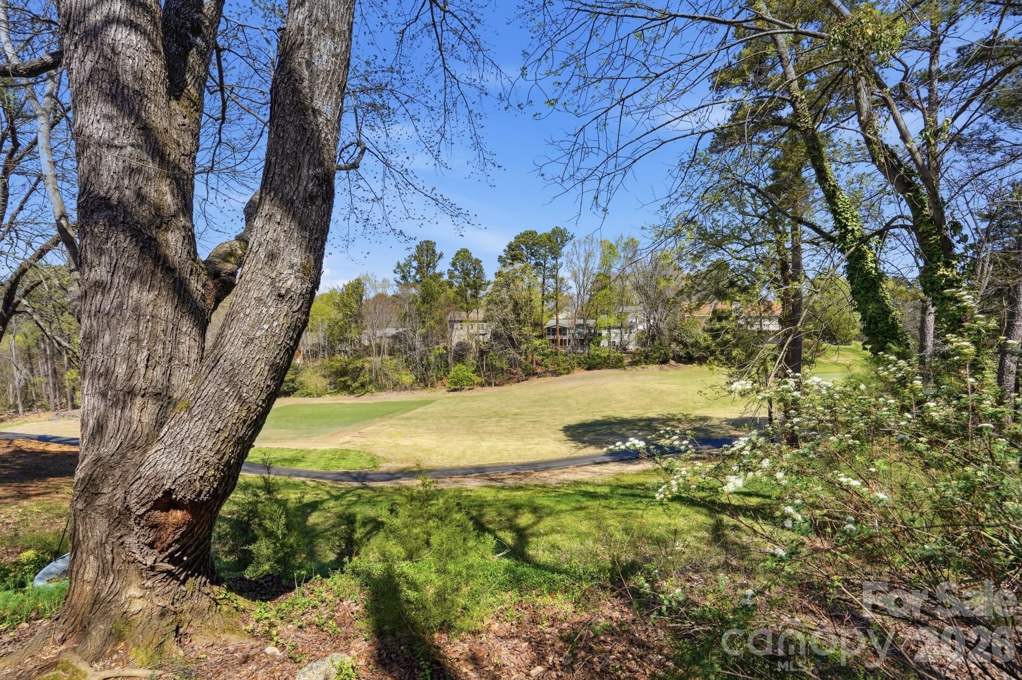 6046 Windjammer Drive Tega Cay, SC 29708 - Photo 44 of 46 a view of a yard with trees