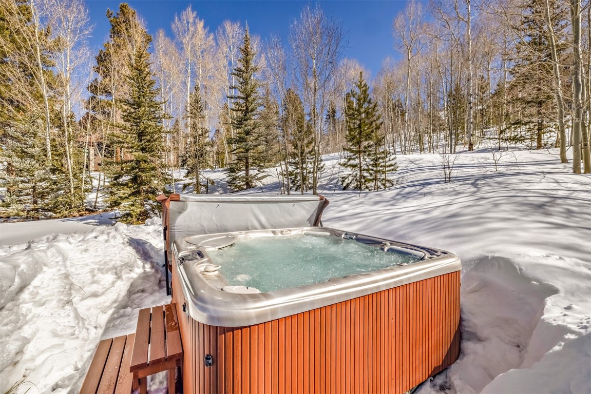 40 Nordic Trail Silverthorne, CO 80498 - Photo 33 of 35 a view of a yard with trees