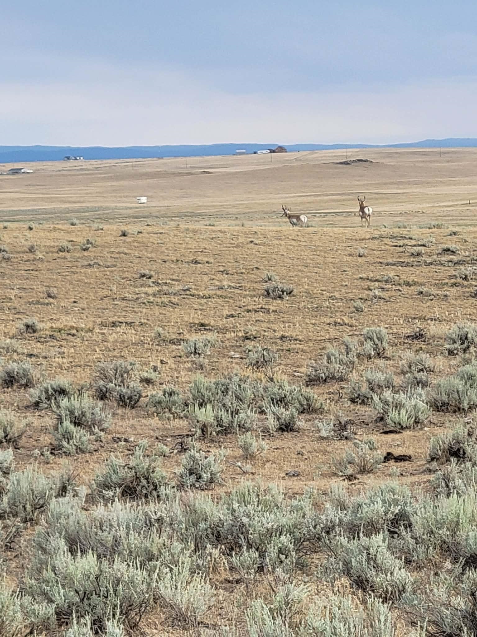 471 Bb Brooks Casper, WY 82601 - Photo 17 of 18