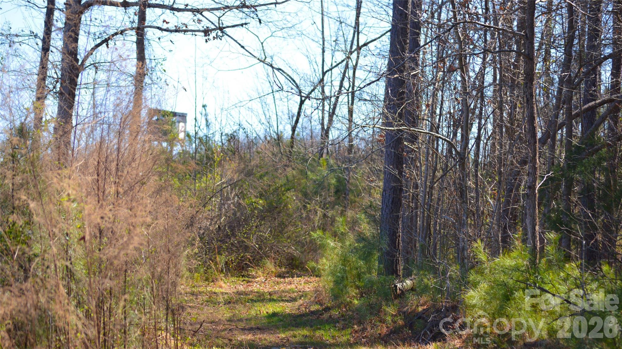 0 Bobby Faucette Road, Unit 3 Jonesville, SC 29353 - Photo 1 of 18