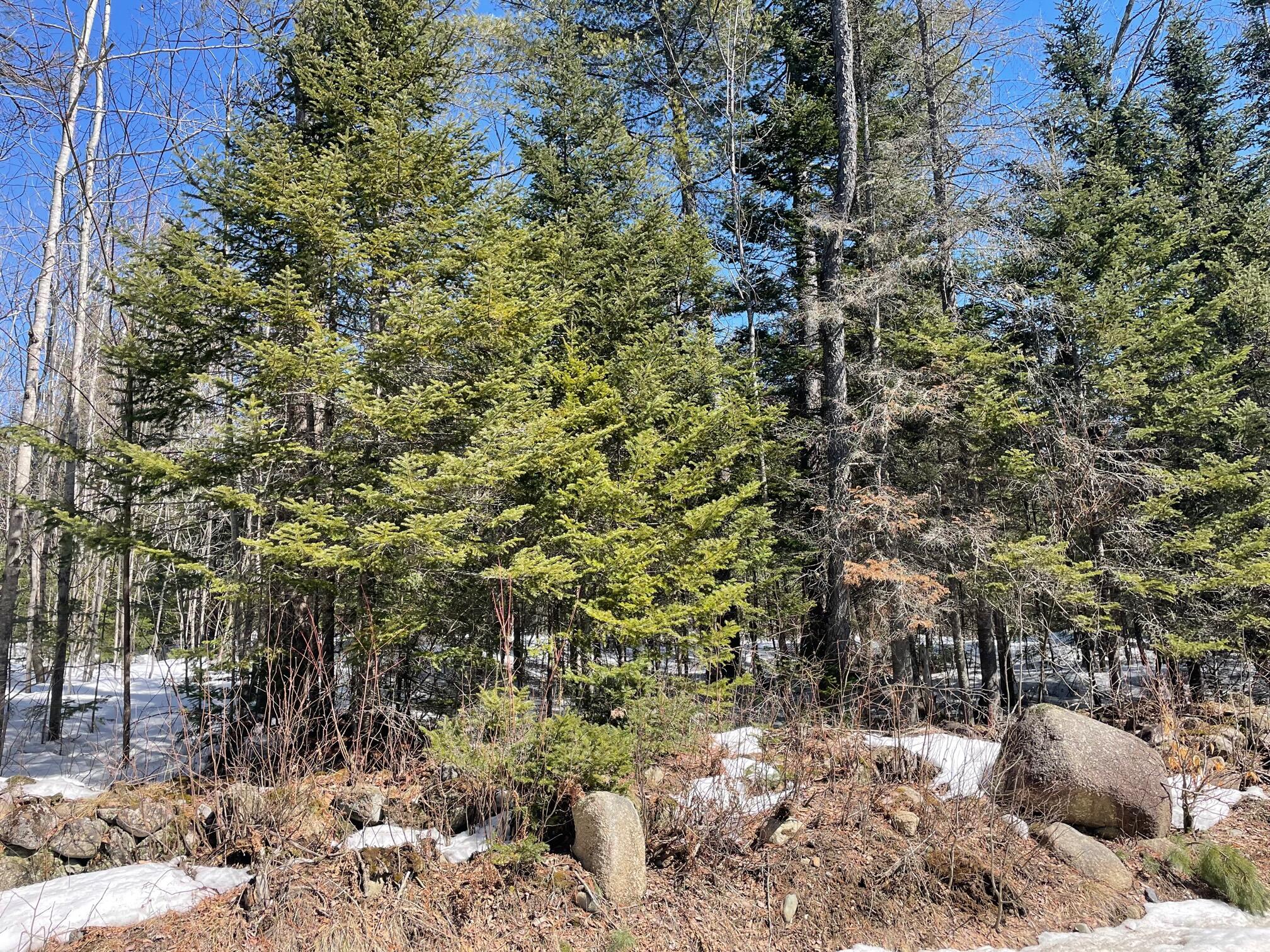 Lot 2728 Salem Road Strong, ME 04983 - Photo 1 of 4 IMG_2819