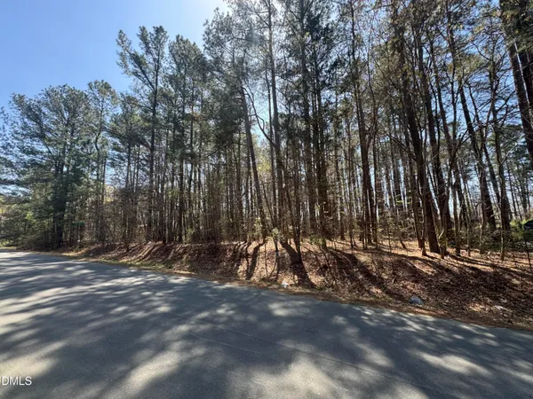a view of outdoor space with deck and tree
