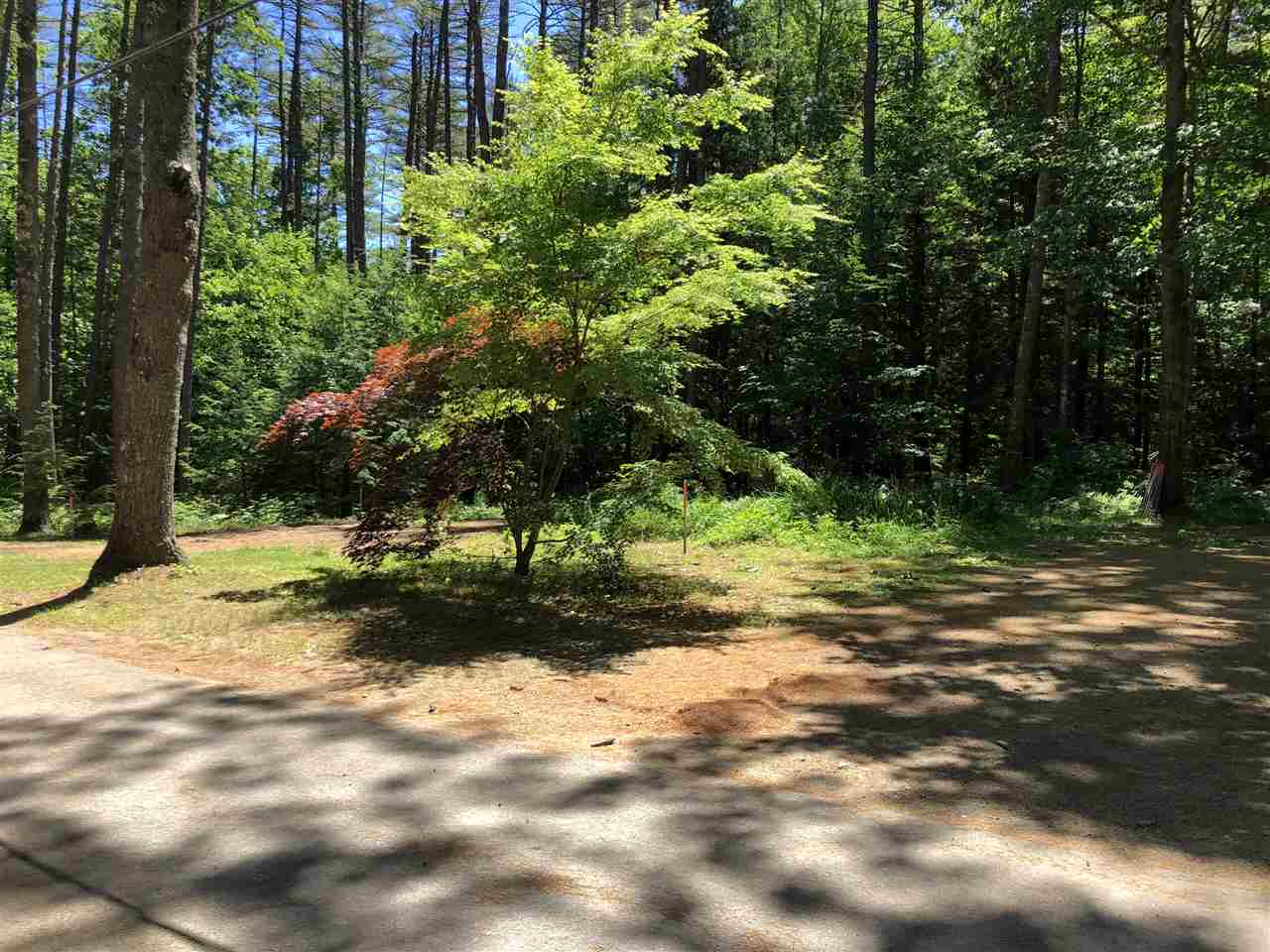 181 Heron Point Road Alton, NH 03809 - Photo 1 of 23