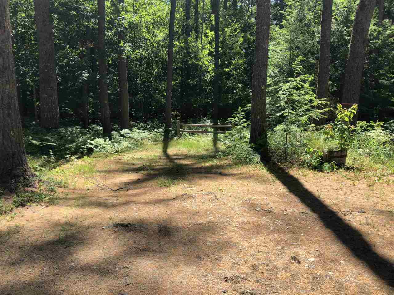 181 Heron Point Road Alton, NH 03809 - Photo 2 of 23