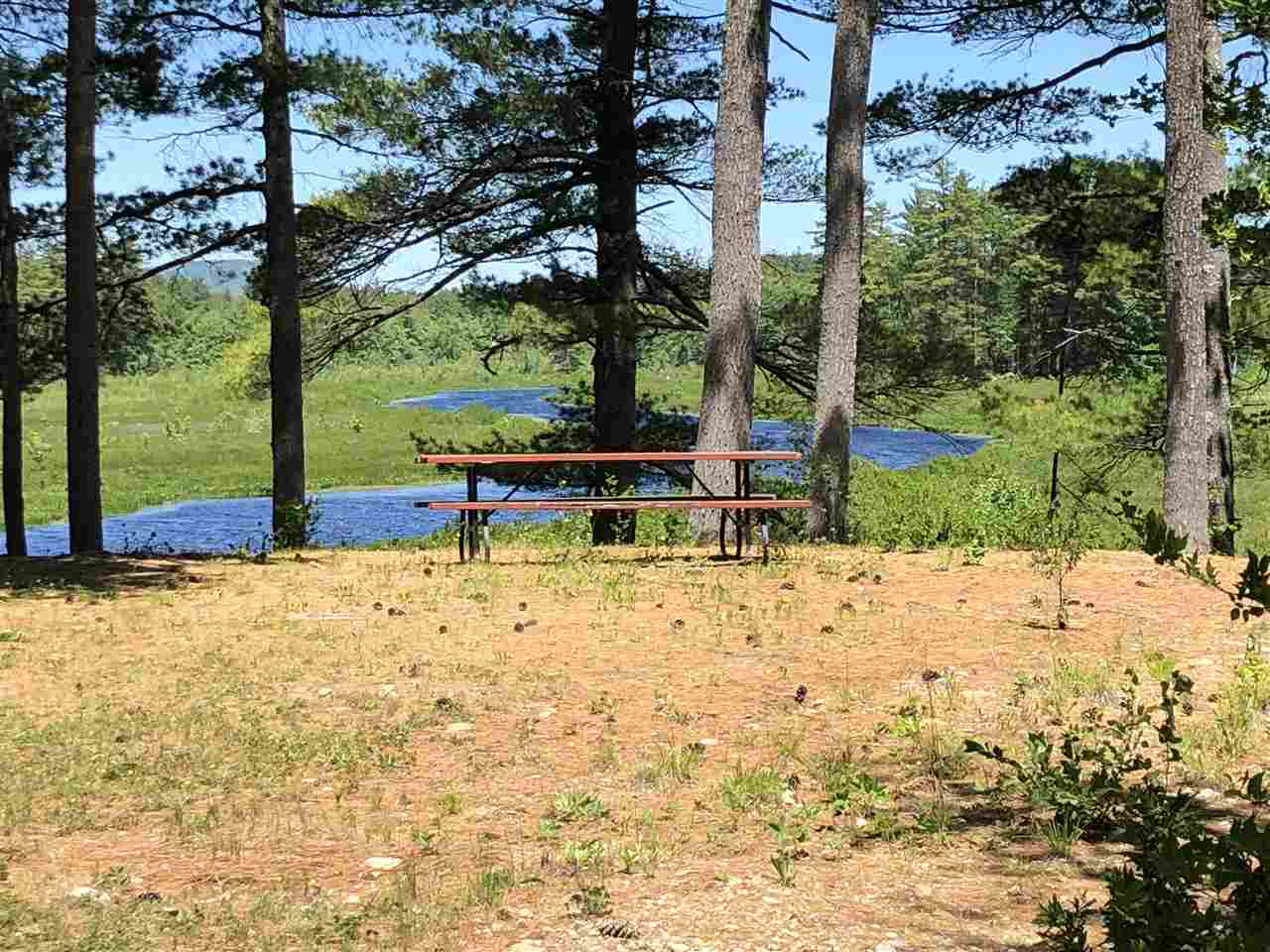 181 Heron Point Road Alton, NH 03809 - Photo 17 of 23