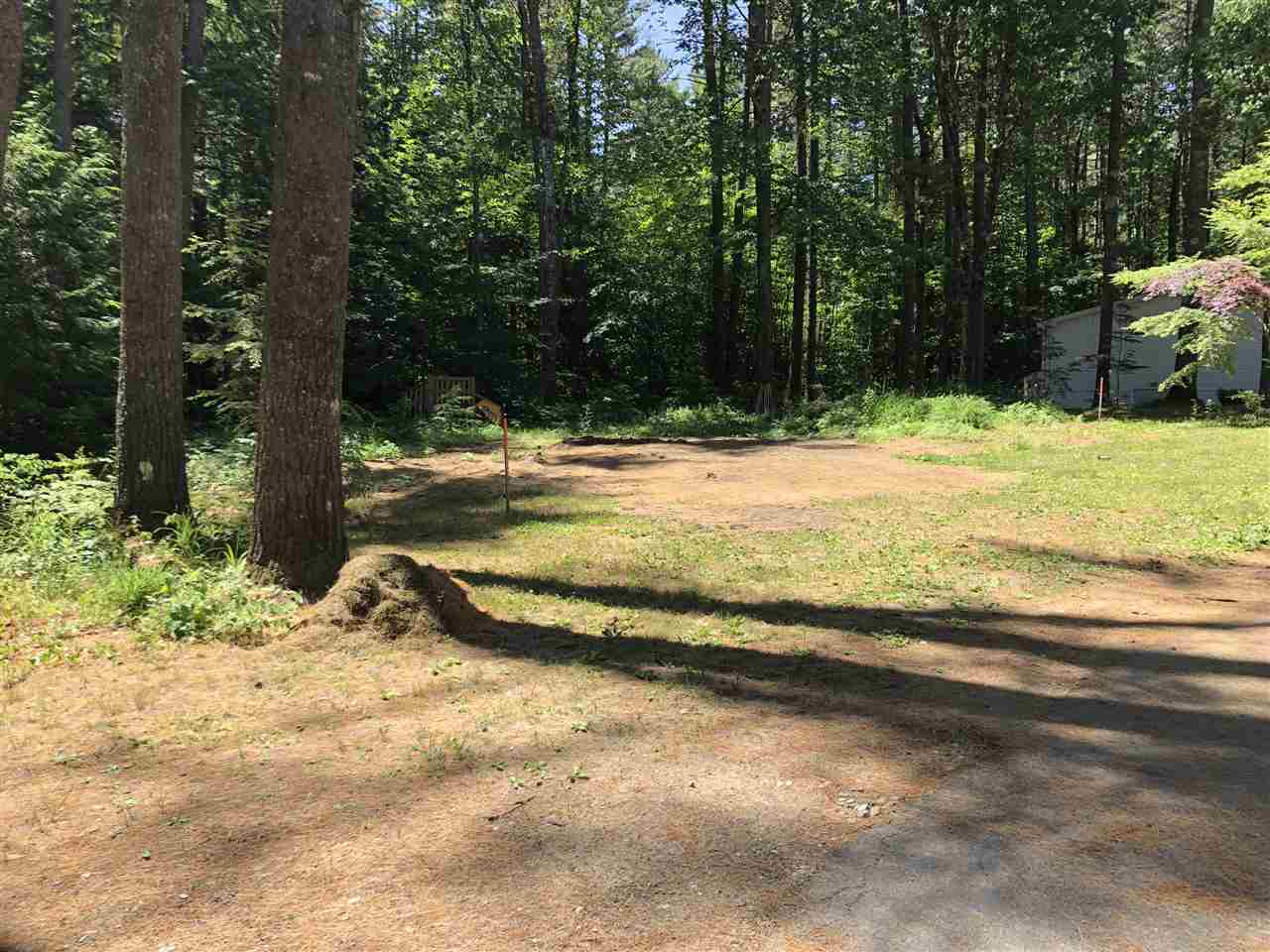 181 Heron Point Road Alton, NH 03809 - Photo 3 of 23
