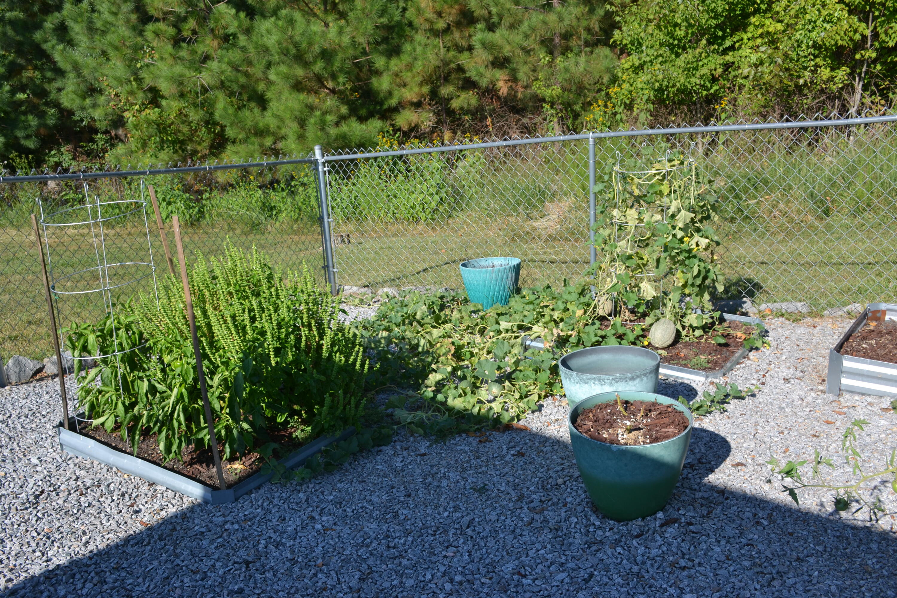 1145 Sugar Barbour Road Axton, VA 24054 - Photo 104 of 121 DSC_0057