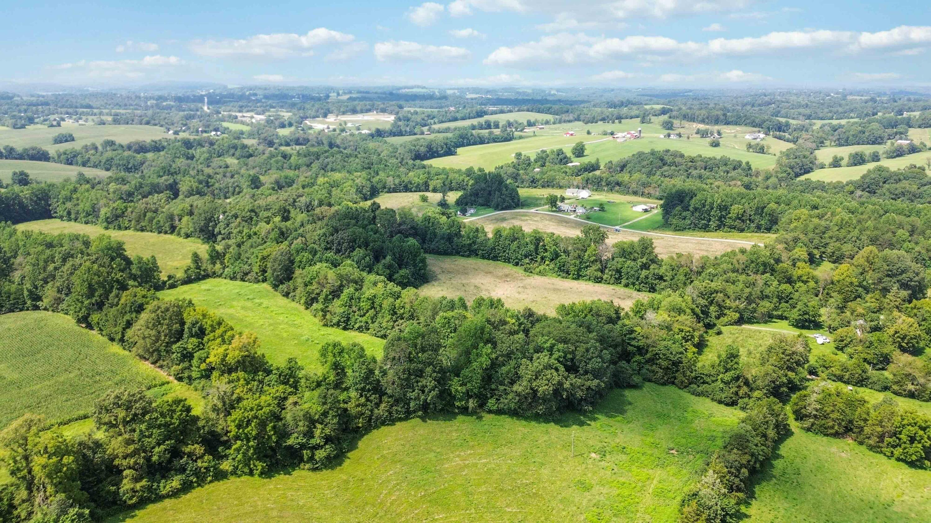 1350 Warner Road Nancy, KY 42544 - Photo 5 of 15 004