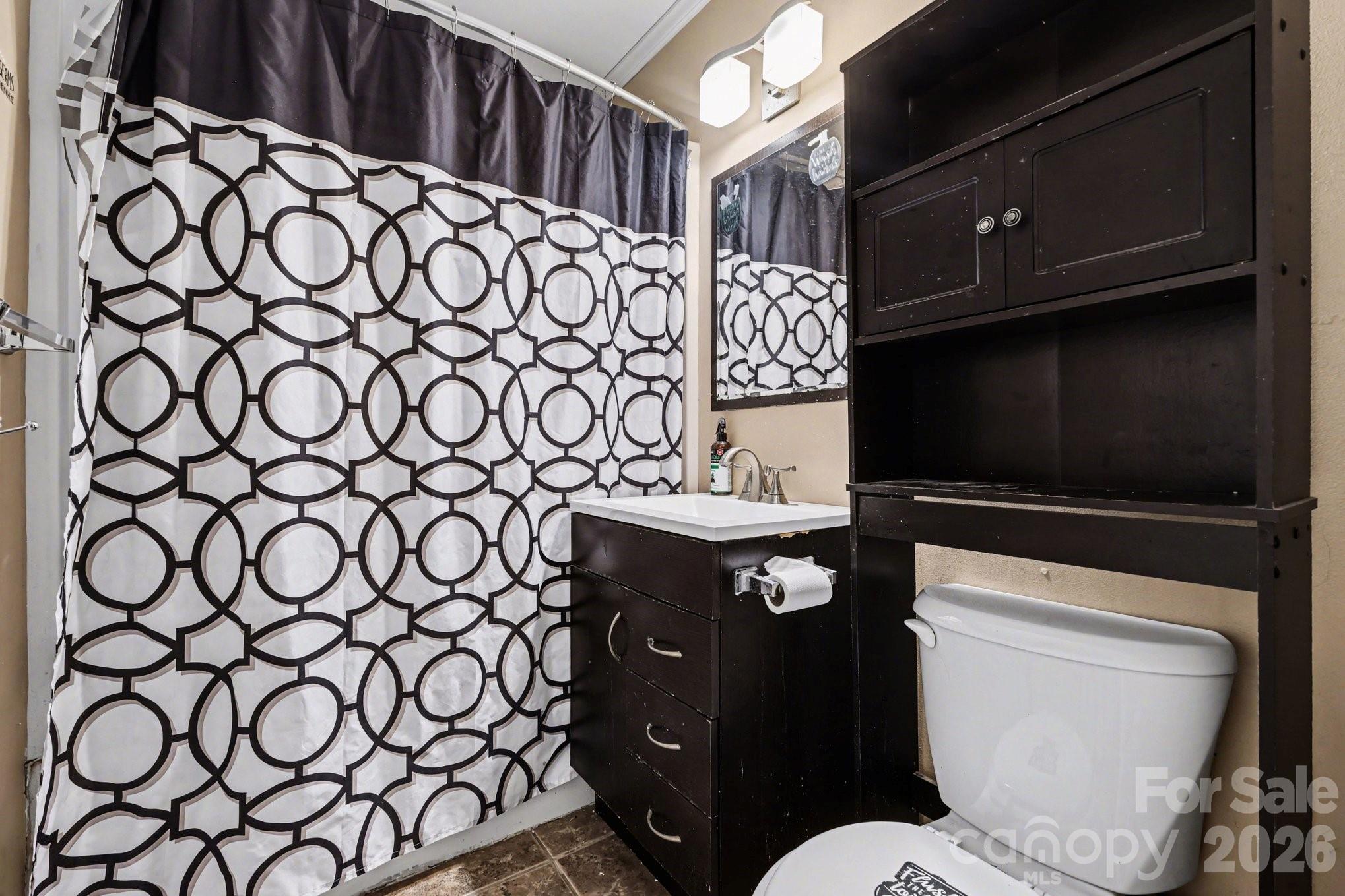 110 Abell Street Chester, SC 29706 - Photo 19 of 29 a bathroom with a sink and a toilet