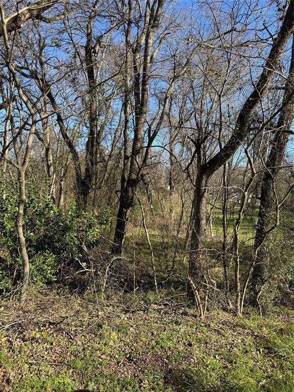 0 Maple Gun Barrel City, TX 75156 - Photo 2 of 4 a view of a yard with large trees