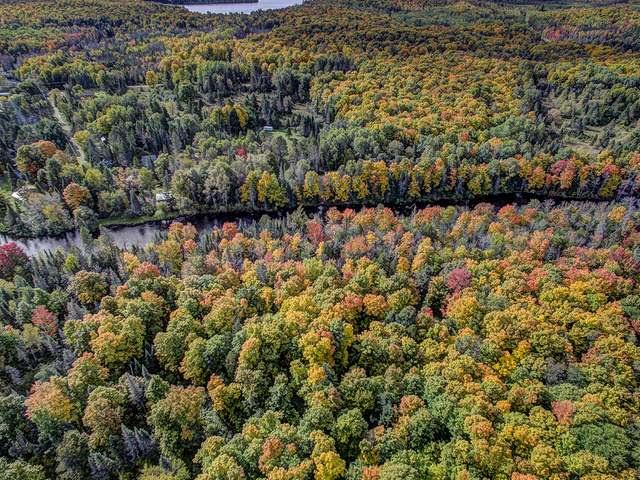 4456 Seifert Road Long Lake, WI 54542 - Photo 11 of 19 Gallery Image 11