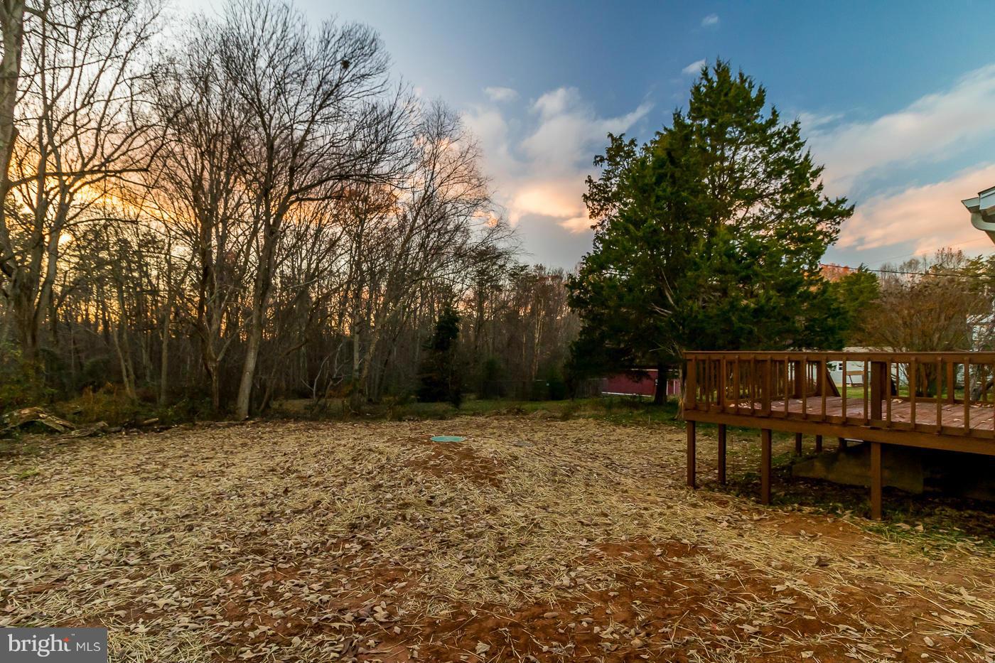 7668 Courthouse Road Spotsylvania, VA 22551 - Photo 26 of 30 Backyard