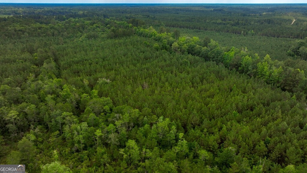 0 Highway 204 & Carlos Cowart Road Pembroke, GA 31321 - Photo 16 of 47