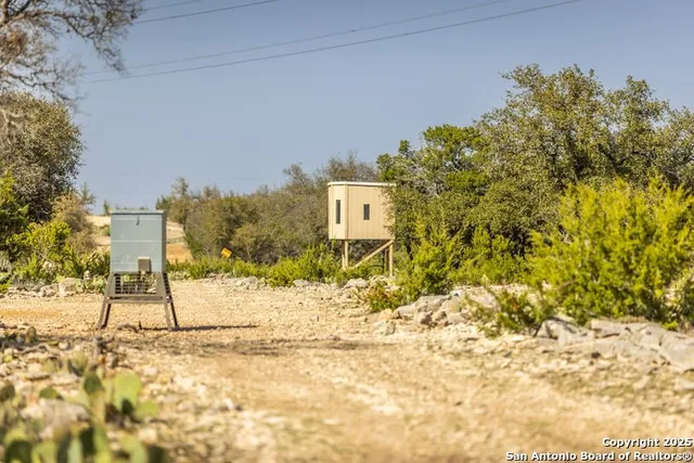 a view of a street with trees in front of it