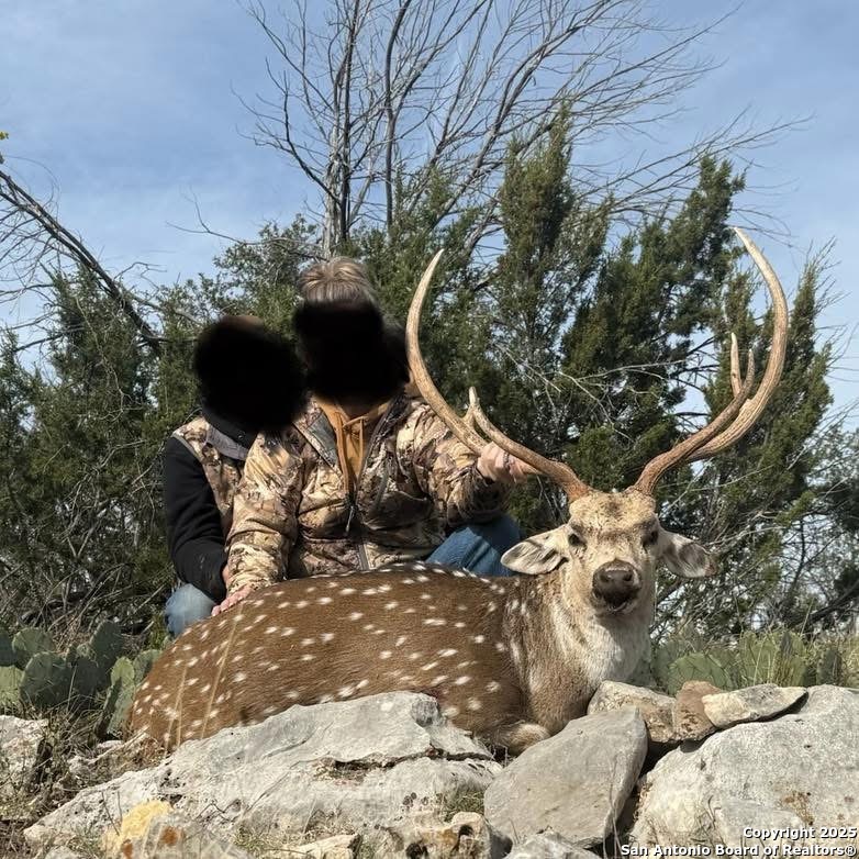 985 County Road 316 Christoval, TX 76935 - Photo 16 of 19 a view of a tree with a yard