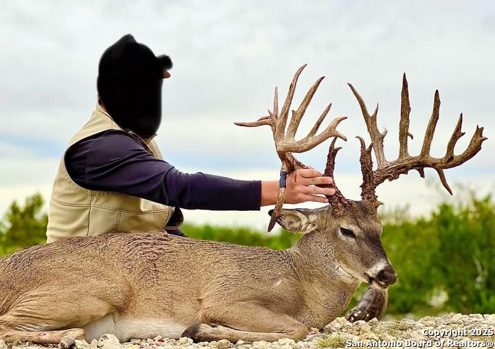 985 County Road 316 Christoval, TX 76935 - Photo 18 of 19 a vase of flowers sitting on a table