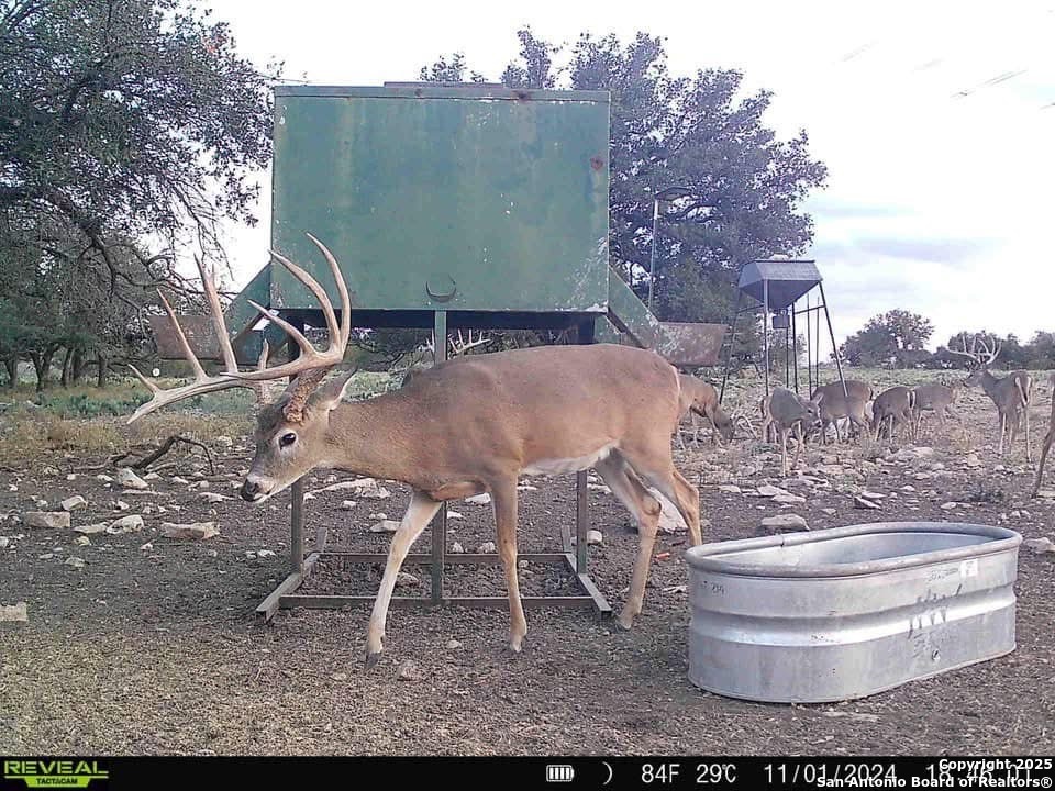 985 County Road 316 Christoval, TX 76935 - Photo 19 of 19 a view of outdoor space