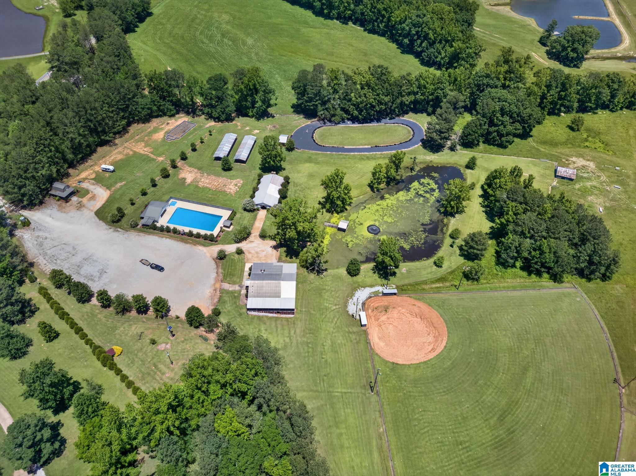 3463 County Road 3 Delta, AL 36258 - Photo 80 of 100