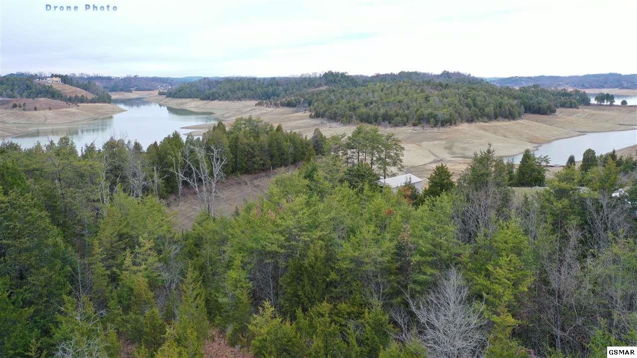 7 Bohanan Top Road Sevierville, TN 37876 - Photo 6 of 22 Gallery Image 6