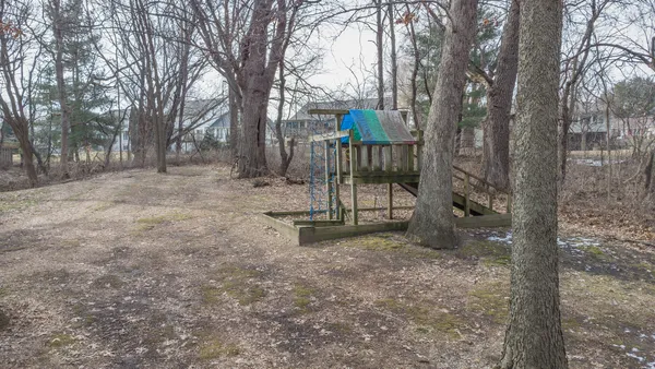 a view of a tall trees with a tree