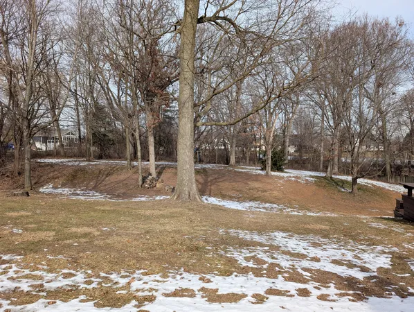 a view of yard with trees
