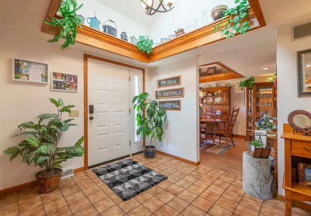 a potted plant sitting in front of a house