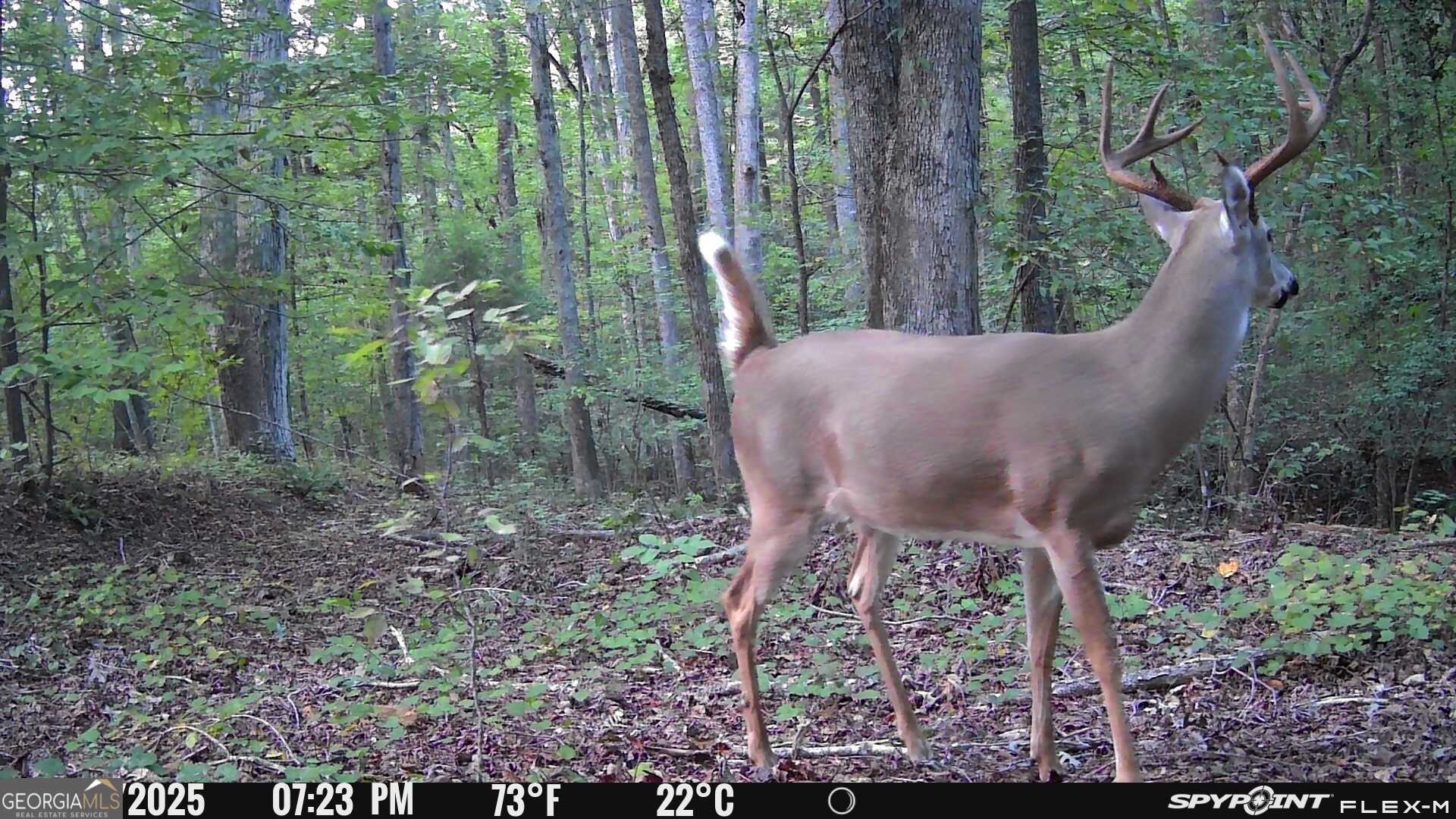 1590 James Adams Road Danielsville, GA 30633 - Photo 21 of 98