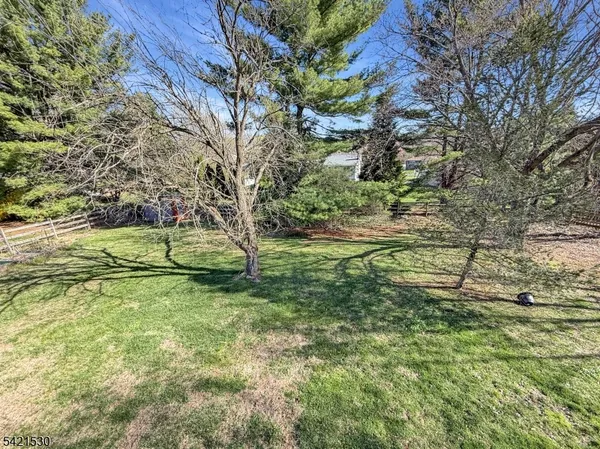 a view of a yard with a tree
