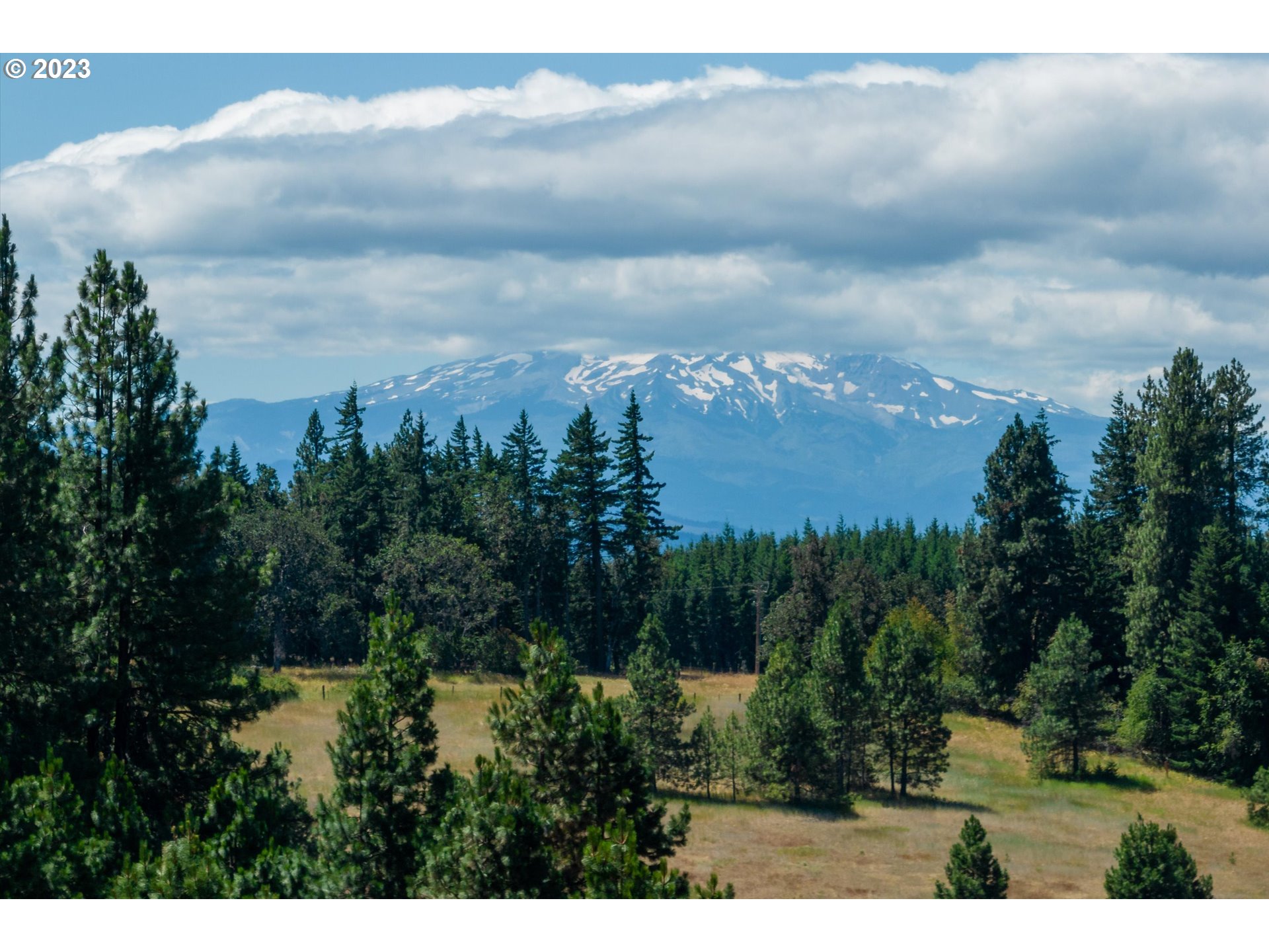 399 McGowan Road Lyle, WA 98635 - Photo 11 of 35 a view of a city with lush green forest