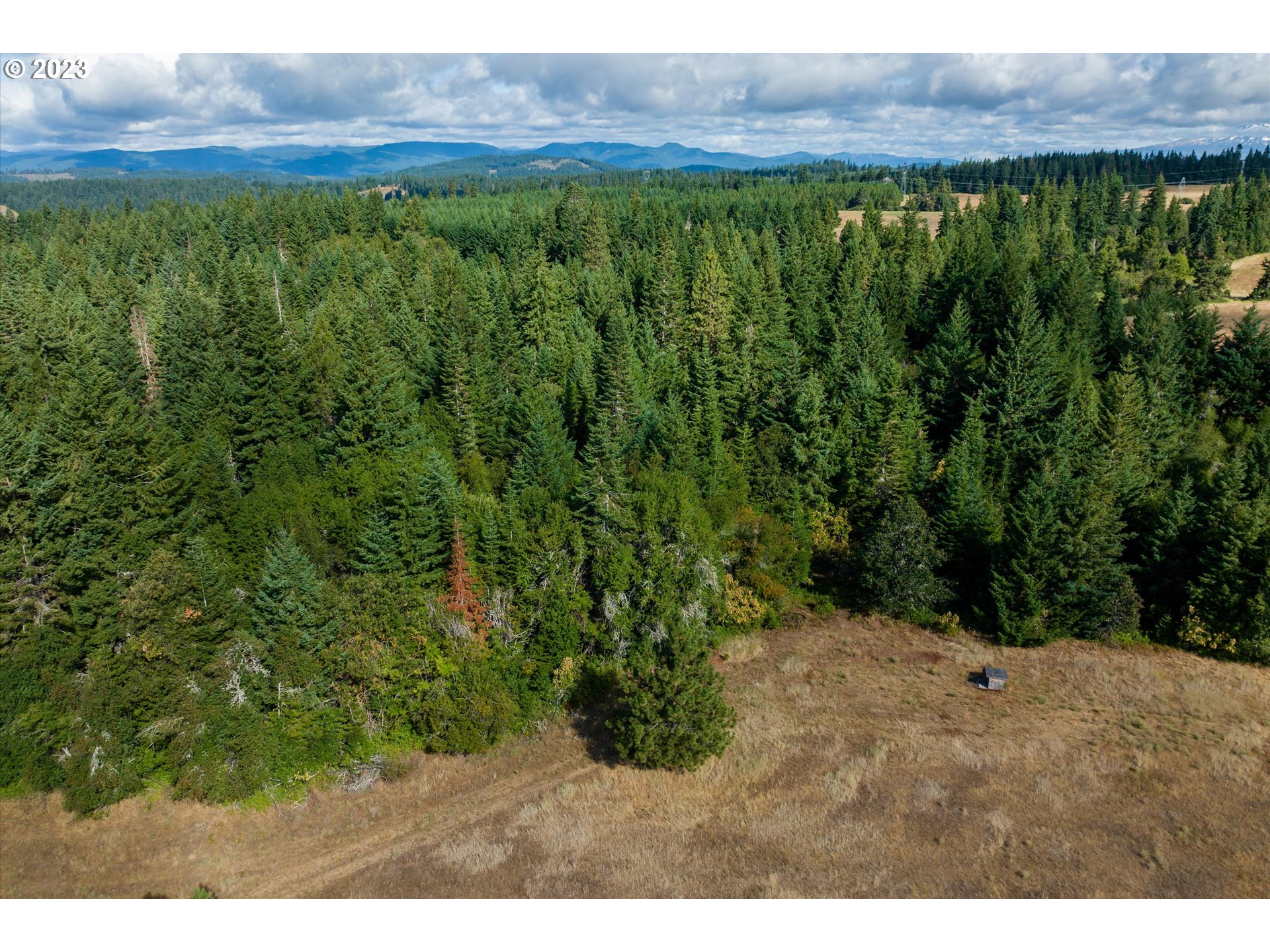 399 McGowan Road Lyle, WA 98635 - Photo 13 of 35 a view of a yard with an outdoor space