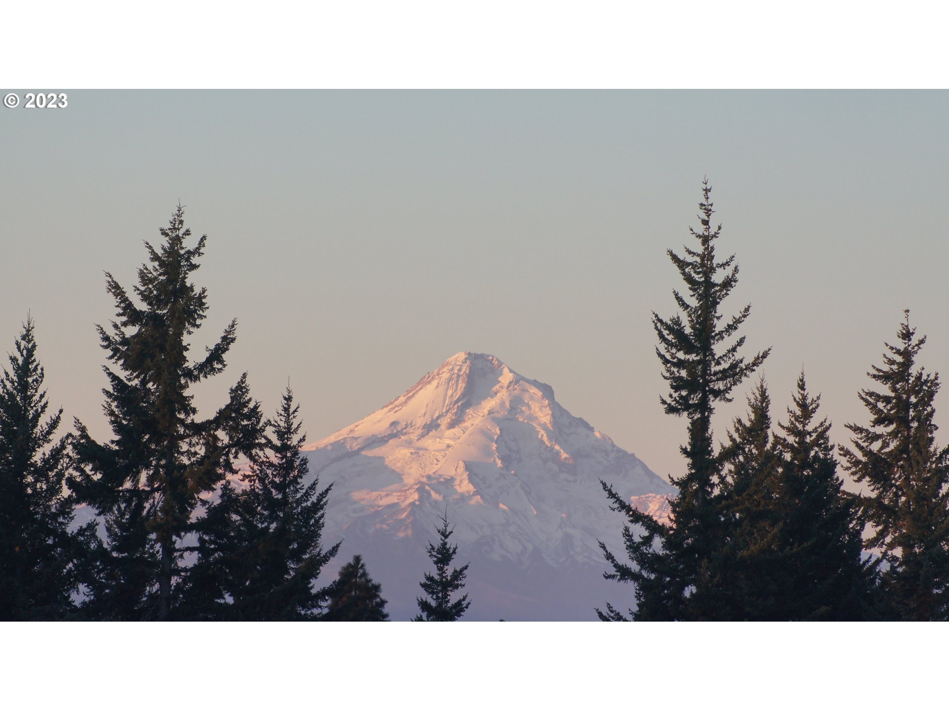 399 McGowan Road Lyle, WA 98635 - Photo 16 of 35 a black and white photo of a room