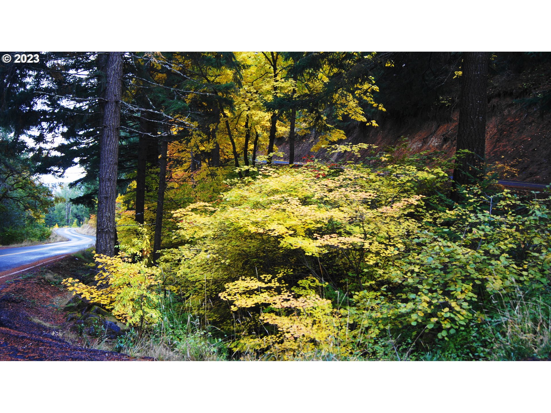 399 McGowan Road Lyle, WA 98635 - Photo 18 of 35 a black and white photo of a house