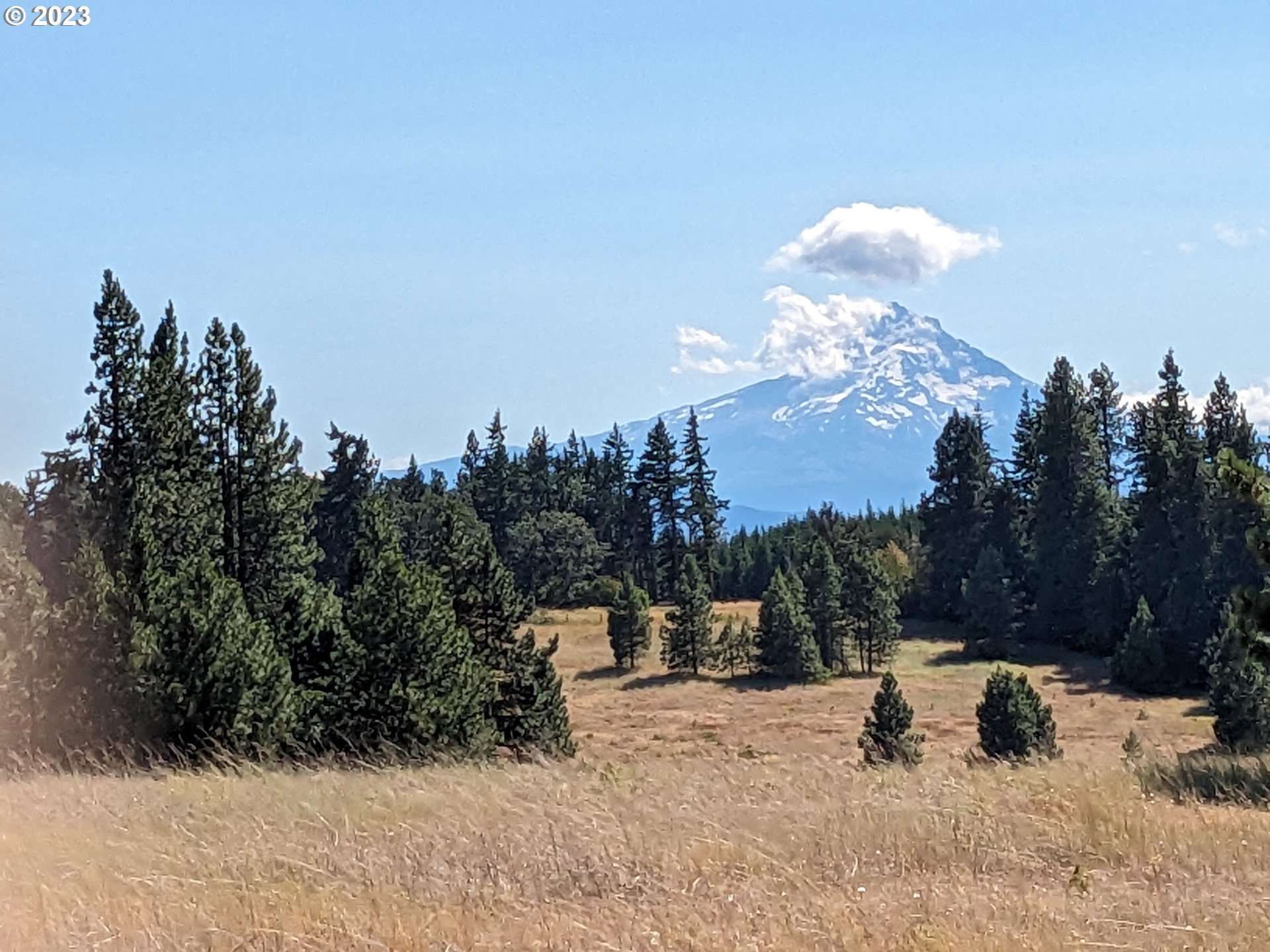 399 McGowan Road Lyle, WA 98635 - Photo 2 of 35 a view of a snow in the yard
