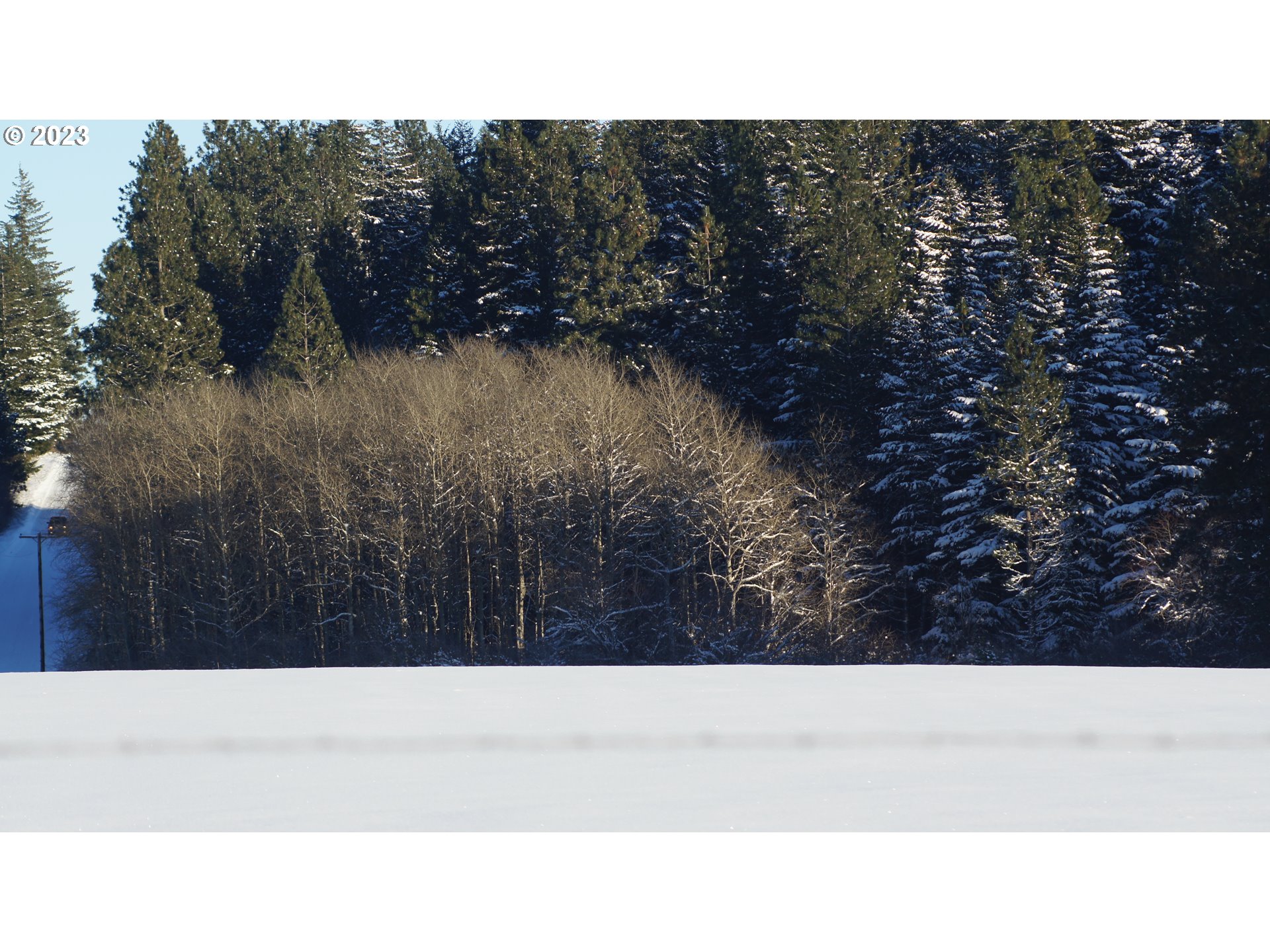 399 McGowan Road Lyle, WA 98635 - Photo 24 of 35 a black and white photo of a field