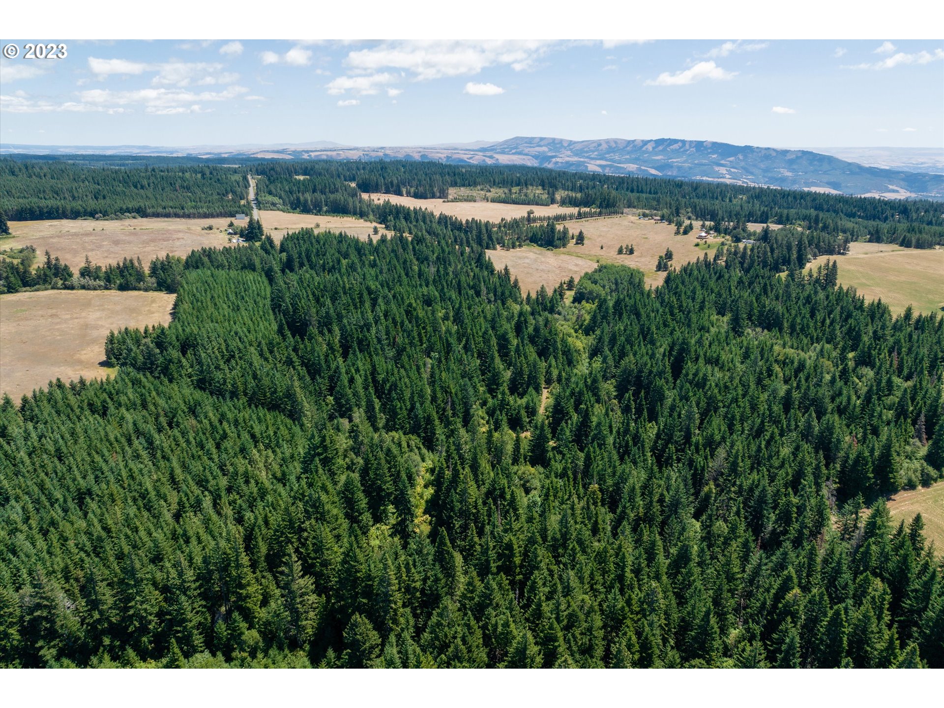 399 McGowan Road Lyle, WA 98635 - Photo 26 of 35 a view of a lake and green valley