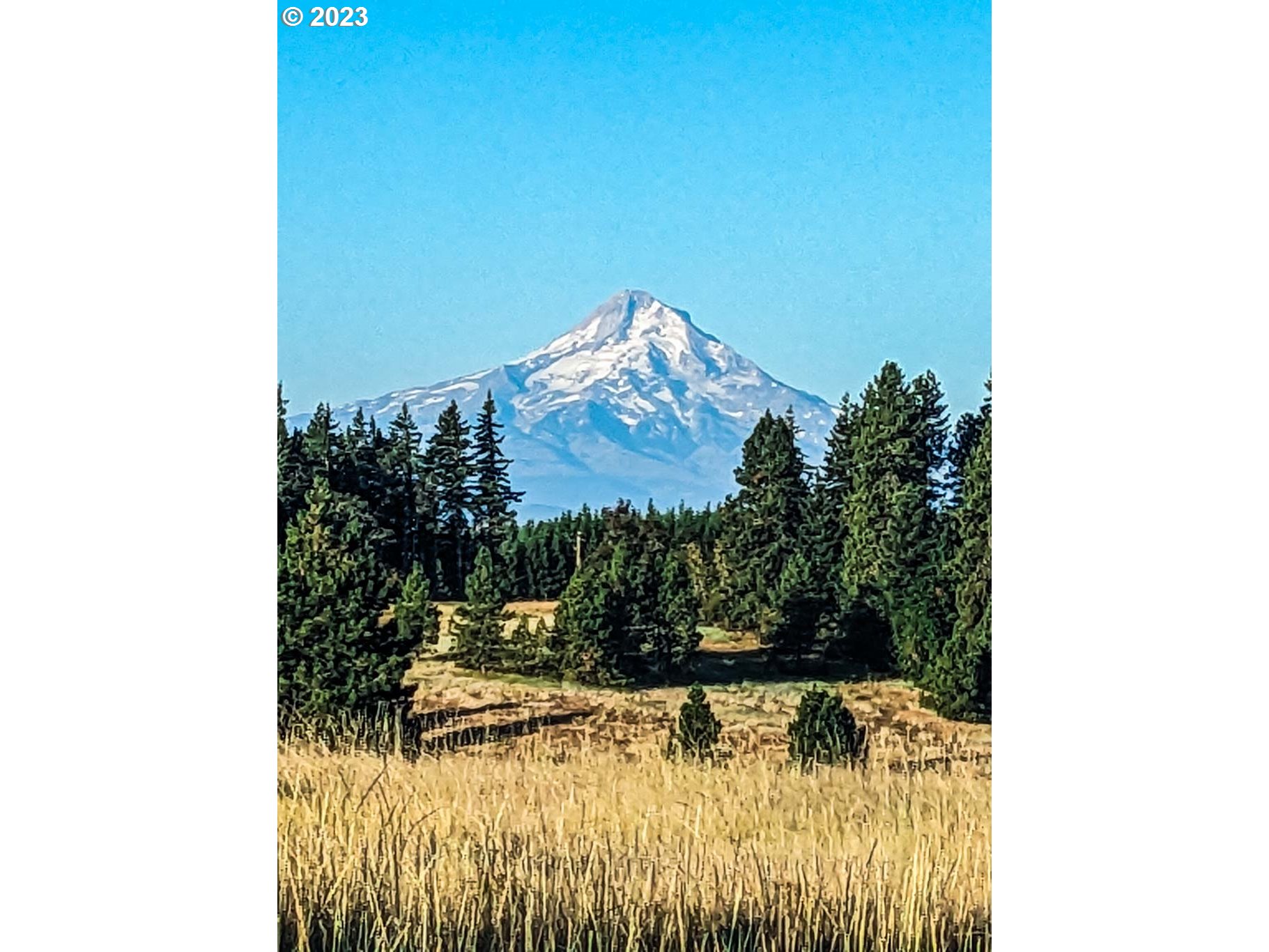 399 McGowan Road Lyle, WA 98635 - Photo 27 of 35 a view of a fireplace in a house