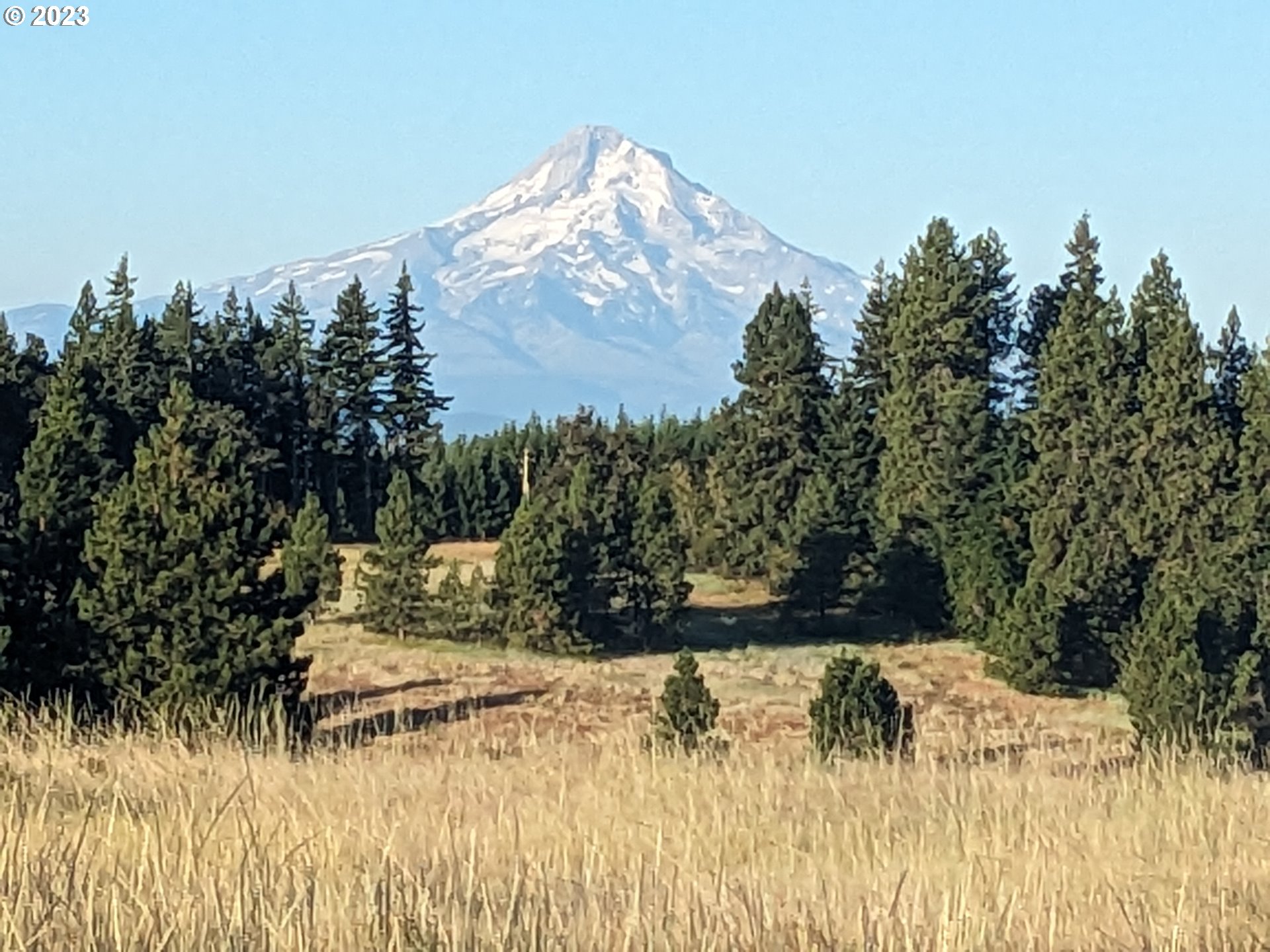 399 McGowan Road Lyle, WA 98635 - Photo 35 of 35 a view of a yard