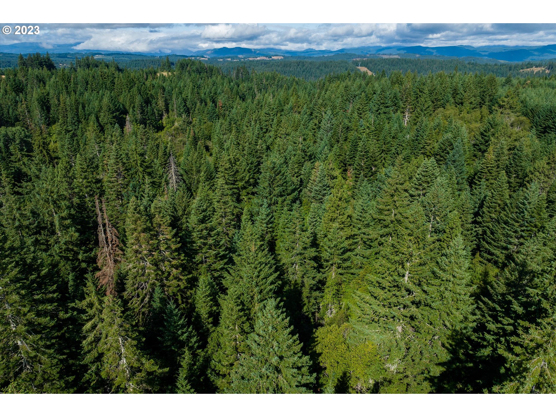 399 McGowan Road Lyle, WA 98635 - Photo 4 of 35 a view of an outdoor space and a yard