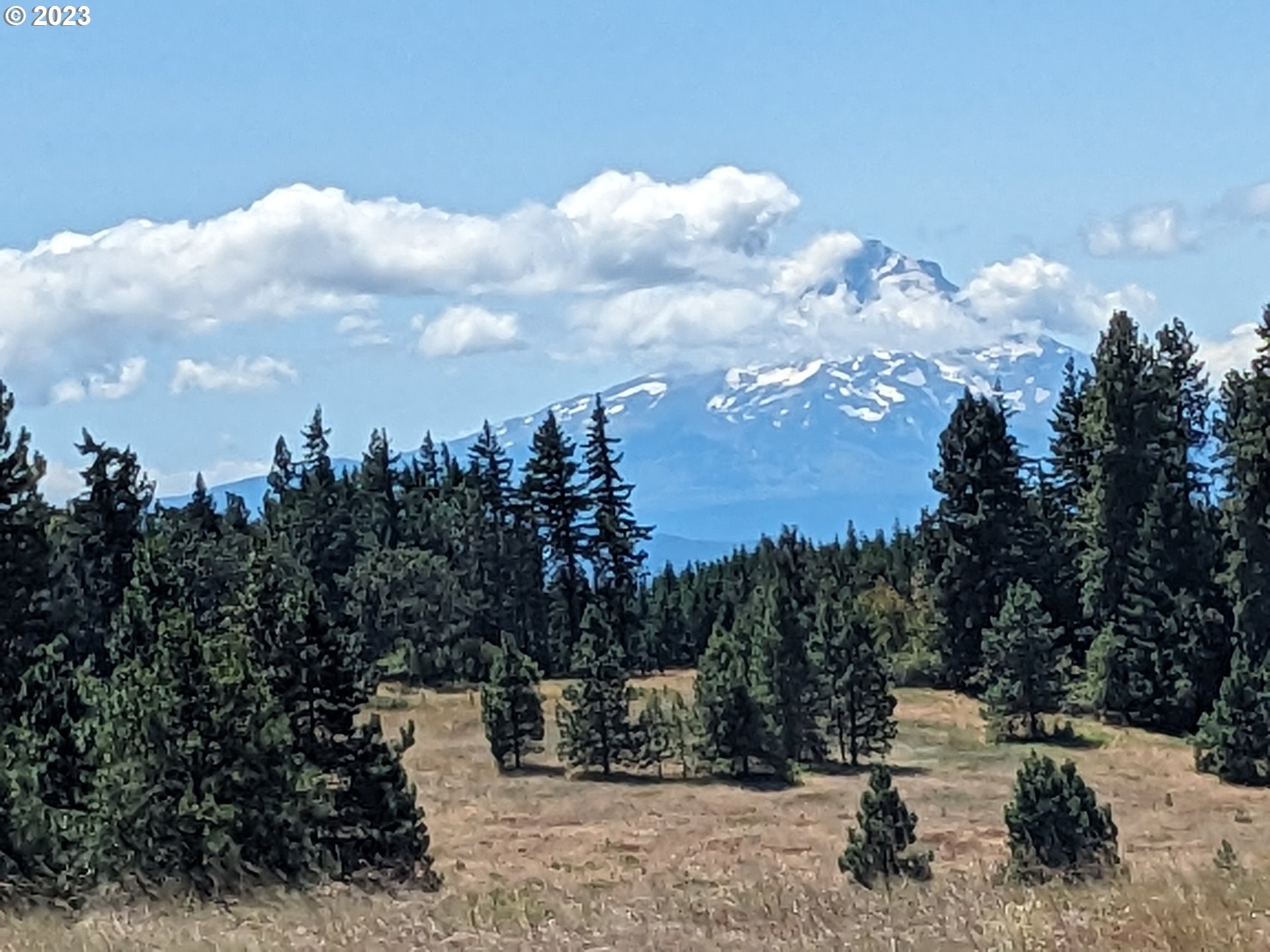 399 McGowan Road Lyle, WA 98635 - Photo 7 of 35 a view of a covered with snow in back