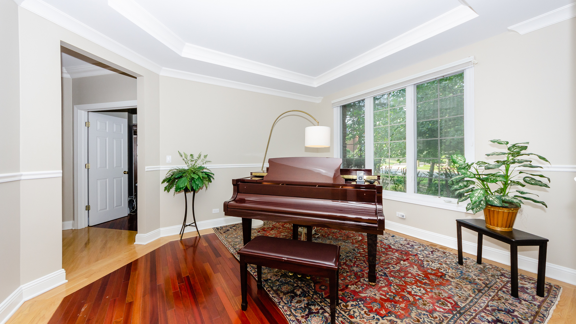 230 Devon Drive Burr Ridge, IL 60527 - Photo 12 of 94 a living room with furniture and a potted plants