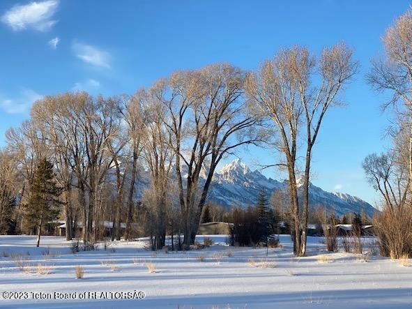 775 Wild Rye Drive Jackson, WY 83001 - Photo 11 of 18 Wild Rye Grand Teton winter