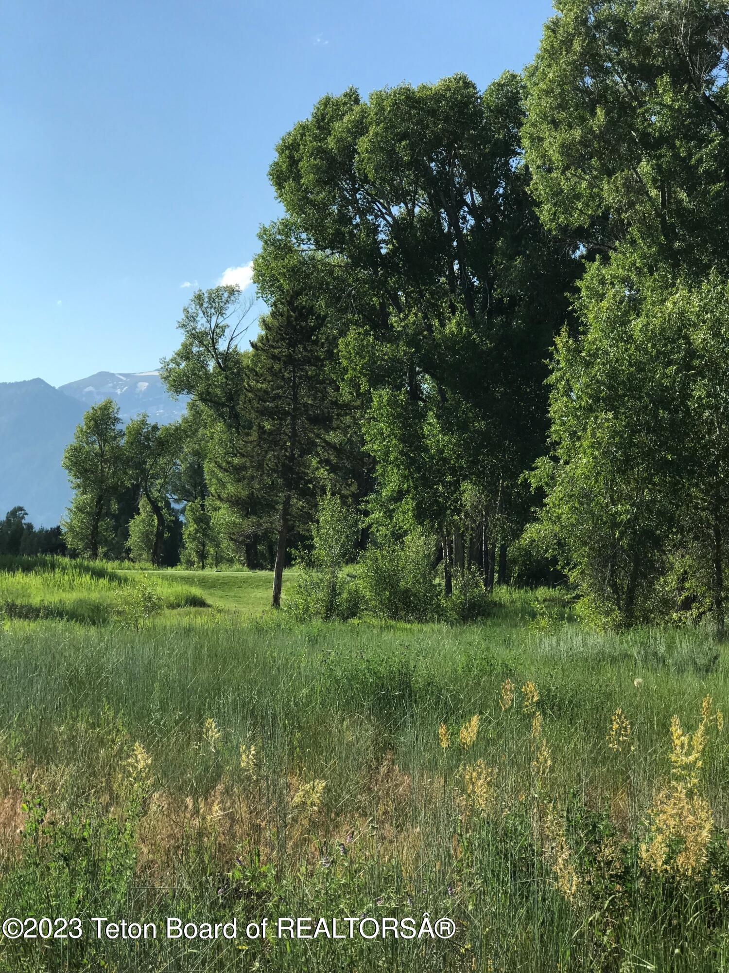 775 Wild Rye Drive Jackson, WY 83001 - Photo 12 of 18 South west views over golf course