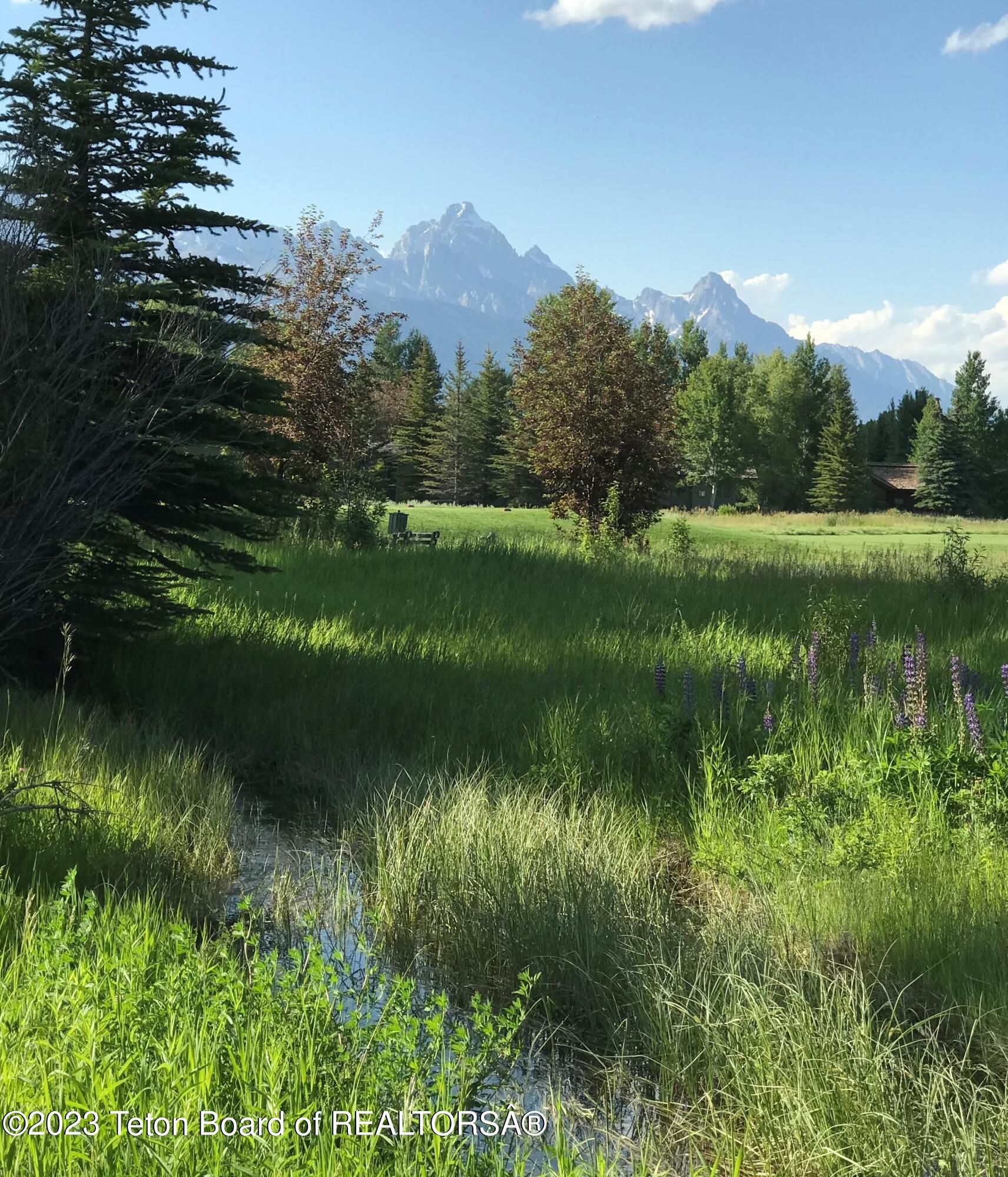 775 Wild Rye Drive Jackson, WY 83001 - Photo 13 of 18 Grand Teton with seasonal water to the n