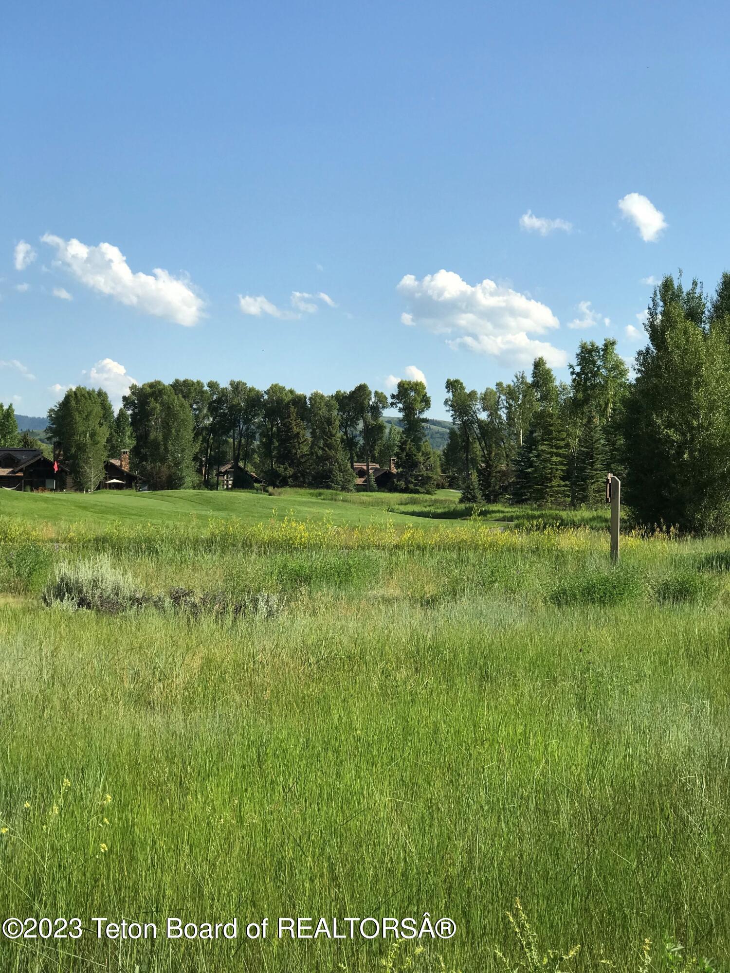 775 Wild Rye Drive Jackson, WY 83001 - Photo 14 of 18 SW views to golf course